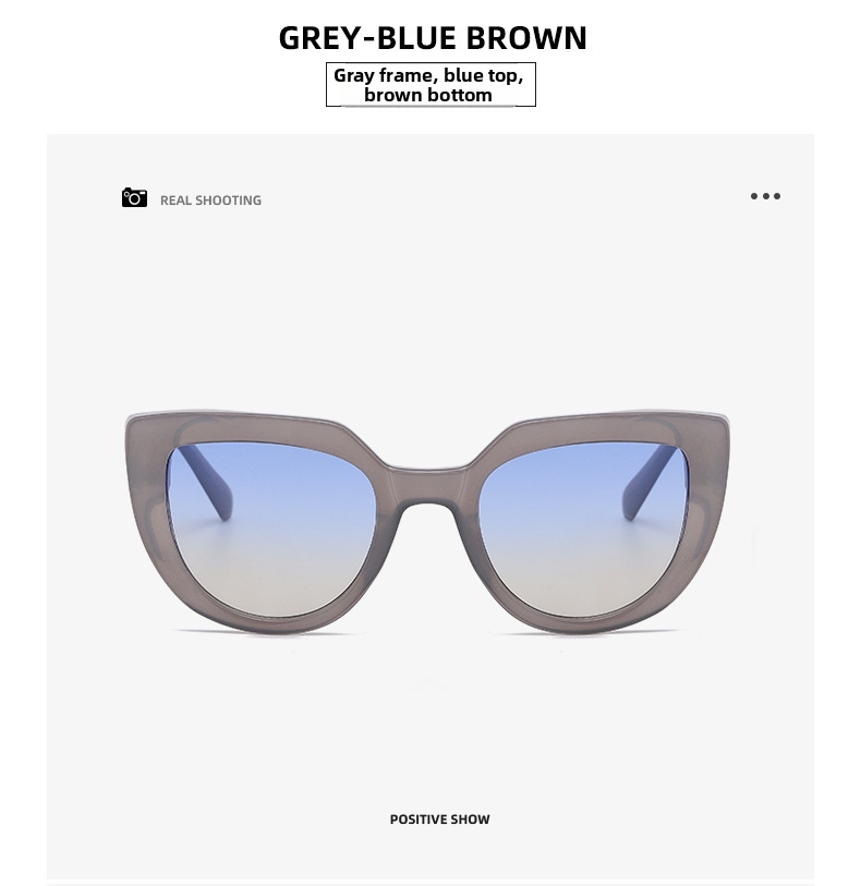 Trendy Cat Eye Sunglasses For Women Oversized Retro Sun Glasses_voghion.com