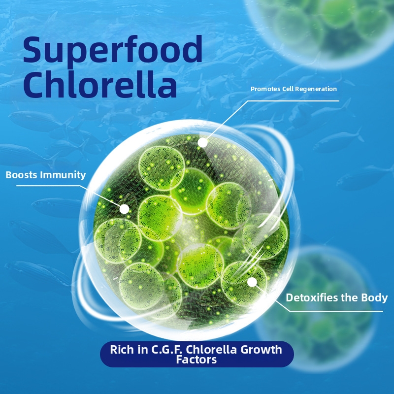 Snow Mountain High Protein Freeze Dried Cat Food 15 Lb Imported Complete Diet With Salmon Flavor For Adults And Kittens Weight Gain_voghion.com