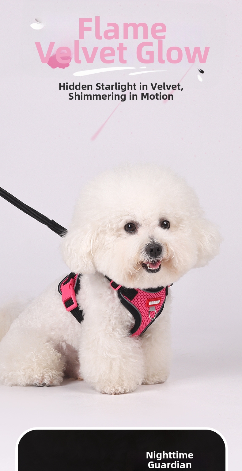 Reflective Breathable Pet Harness And Leash Set For Dogs And Cats_voghion.com