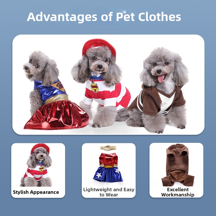 Costumes d'Halloween pour chiens : des tenues originales et décalées, parmi les plus vendues, pour Noël_voghion.com