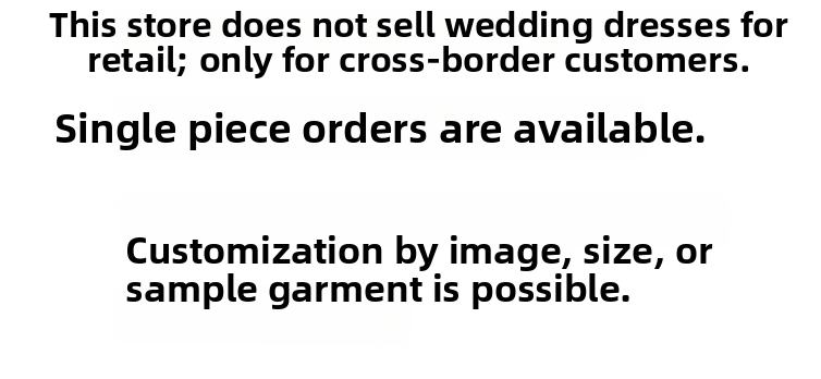 2025 New Style High U Neck Lace Wedding Dress Long Sleeve Slimming a Line Long Train Simple Style for Travel Photography_ecoleips.com