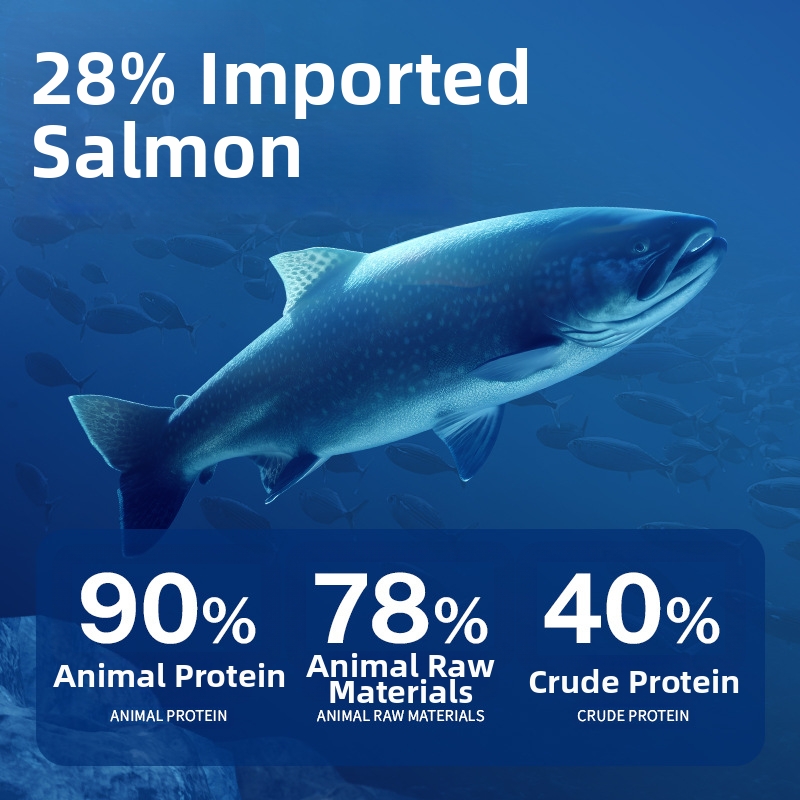 Snow Mountain High Protein Freeze Dried Cat Food 15 Lb Imported Complete Diet With Salmon Flavor For Adults And Kittens Weight Gain_voghion.com