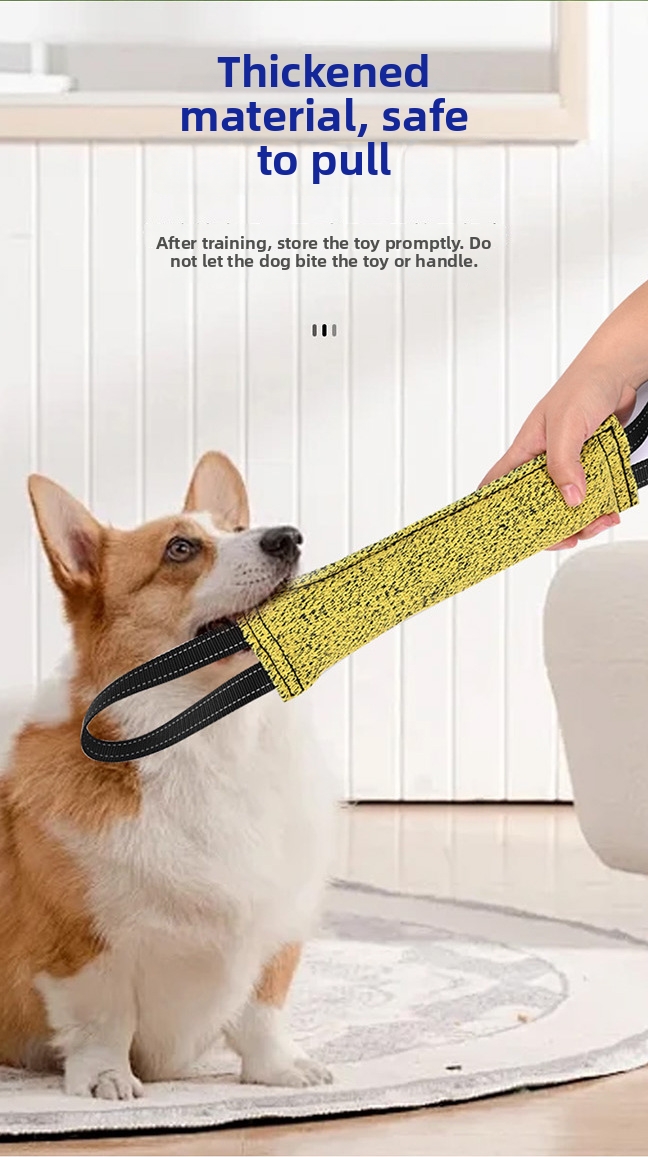 Gioco di trazione e bastone da masticare resistente per cani_voghion.com