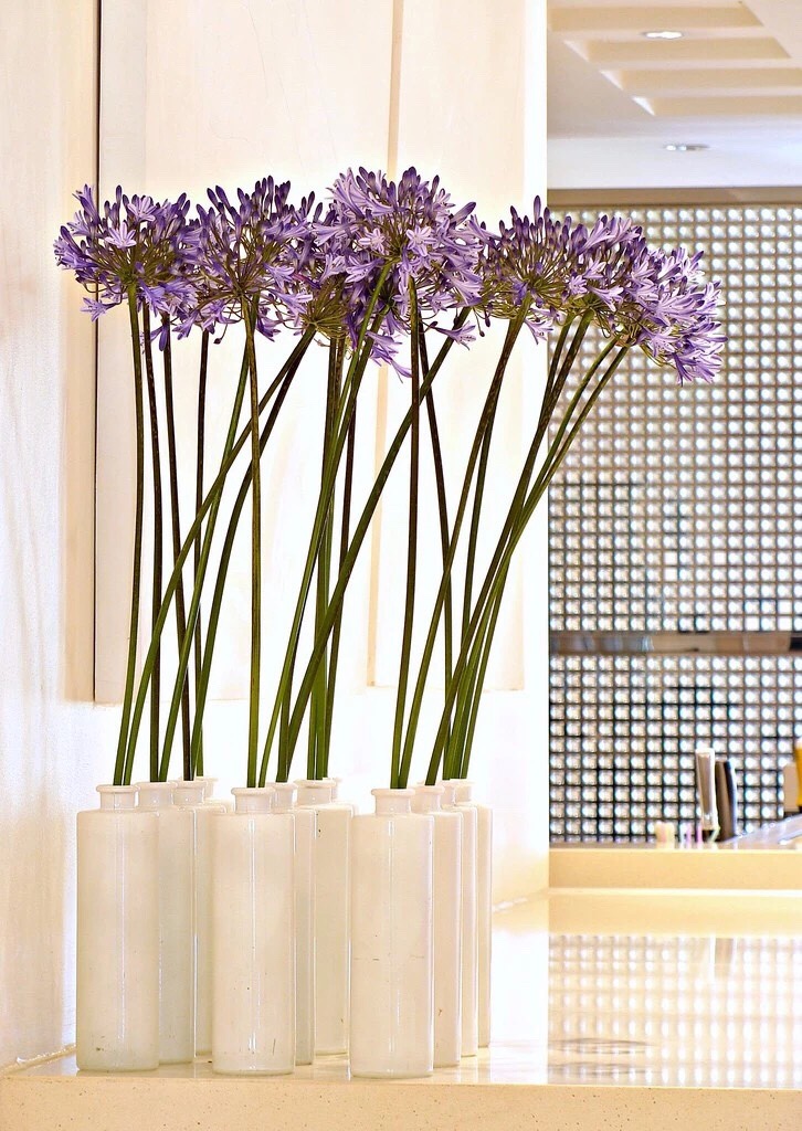 Artificial Baizilian Home Decoration Living Room Dining Room Soft Flower Decoration