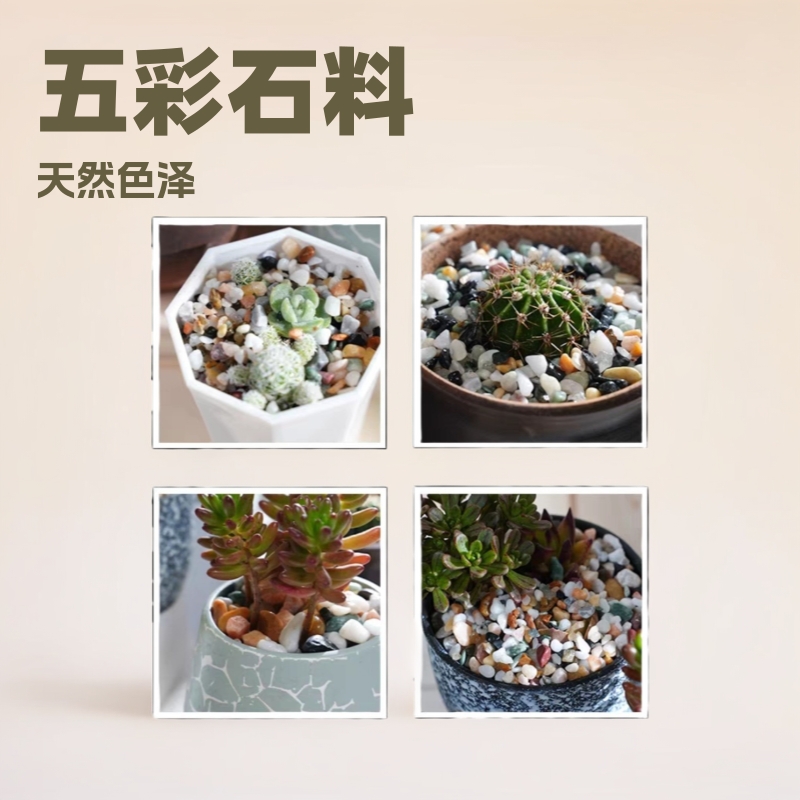 批发五彩石 鱼缸铺底造景彩色小石头 盆栽铺面五彩鹅卵石