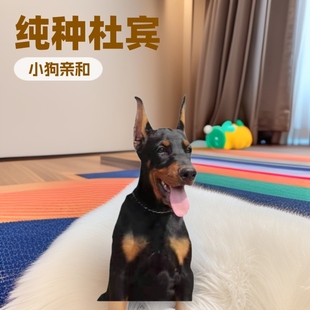 ���N������e��Ȯ���w�����eɯȮС���o�lȮ����Ȯ�����͹���Ȯ