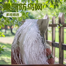 厂家直销尼龙6股丝果园防鸟网鱼塘天网驱鸟樱桃葡萄稻谷驱鸟
