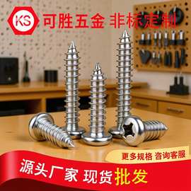 304不锈钢圆头十字自攻螺丝十字盘头自攻钉尖尾木螺丝M2M3M4
