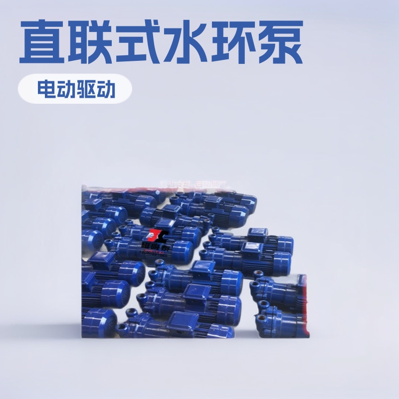 抽水真空泵菏泽 SKA2BV5131 直联式水环真空泵水环式真空泵真空泵