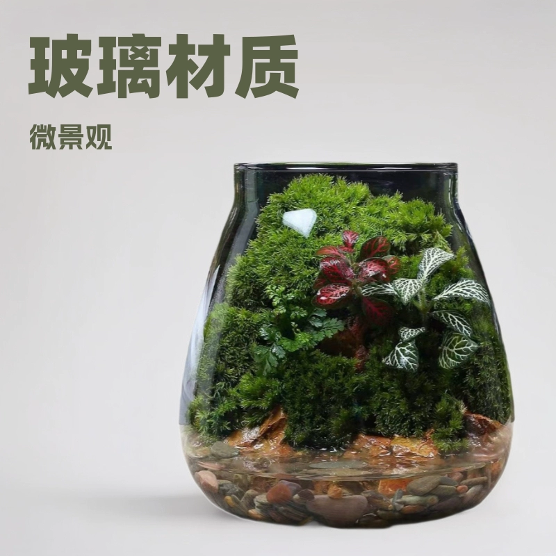 Гидропонная стеклянная бутылка для растений, экологическая бутылка, микроландшафт с мхом, декоративное украшение, подарок своими руками, цветочный горшок