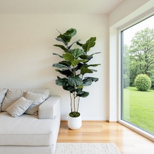 ���R�d�������滨�Gֲ���Դ��Ϳ羳����ֲ���҃ȵ��R�辰���~��