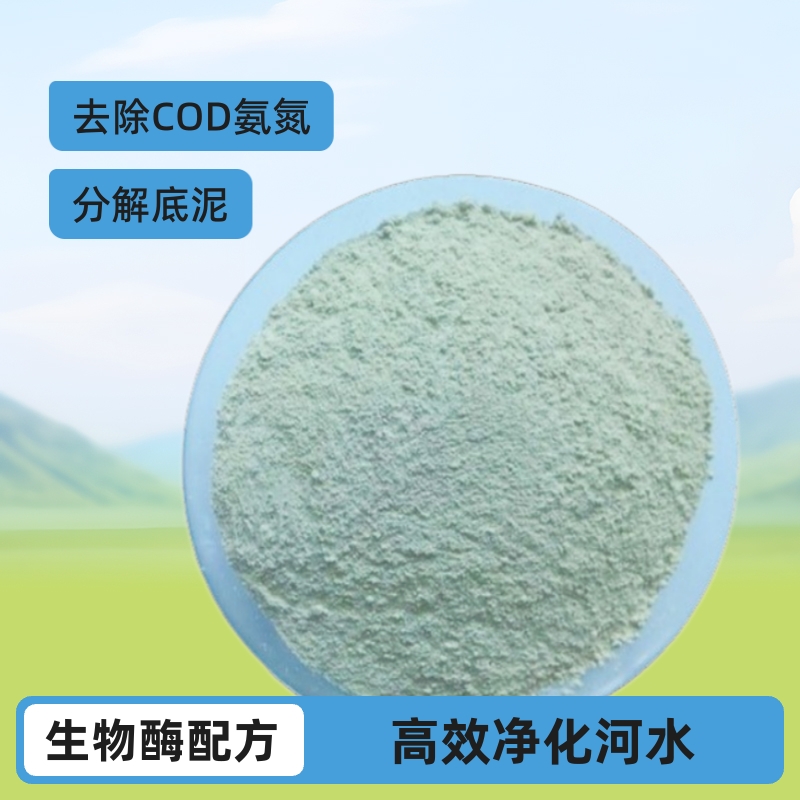 河道净化剂黑臭硫化河水处理药剂生物酶COD氨氮去除底泥分解