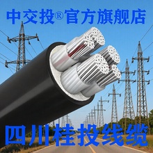 ɶ늾|ȼZRC-YJLV3+14+1оXо|3+295ƽܿ