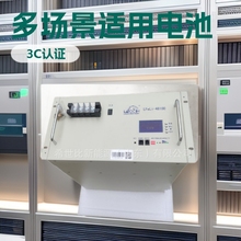 ��ʿ/����/�ذ�/�����_/�ȁ����p��4850A�����F�늳�48V50/100Ah