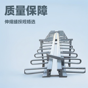 Modular Road Expansion Joint, Sidewalk Comb Plate, Unit-Type Multi-Directional Displacement Device, Stainless Steel Joint