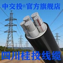 �ɶ���|�S�XоZRC-YJLV223/4+1+2x70240300ƽ�������z�b��ȼ늾�