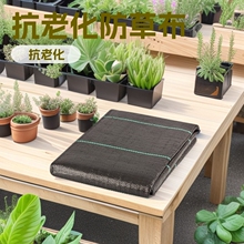 SҿϻزGɫrÈ@ˇ@ ݲPE| PPĤݲ