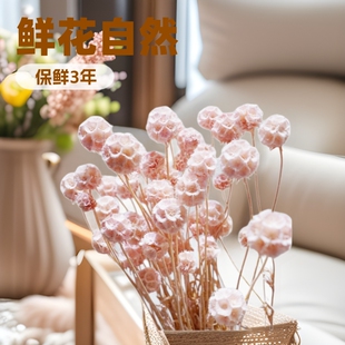 Eternal flower multi-head windmill fruit pine insect fruit flower arrangement material bouquet flower head ins home decoration diy flower wholesale