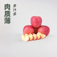 现货洛川红富士12枚75丑苹果大量iphone批发皮薄肉厚脆甜多汁应季