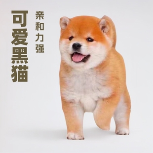 ���l���ۼ��N��Ȯ��Ȯ�Ȍ������ձ���Ȯ���w���l�����l