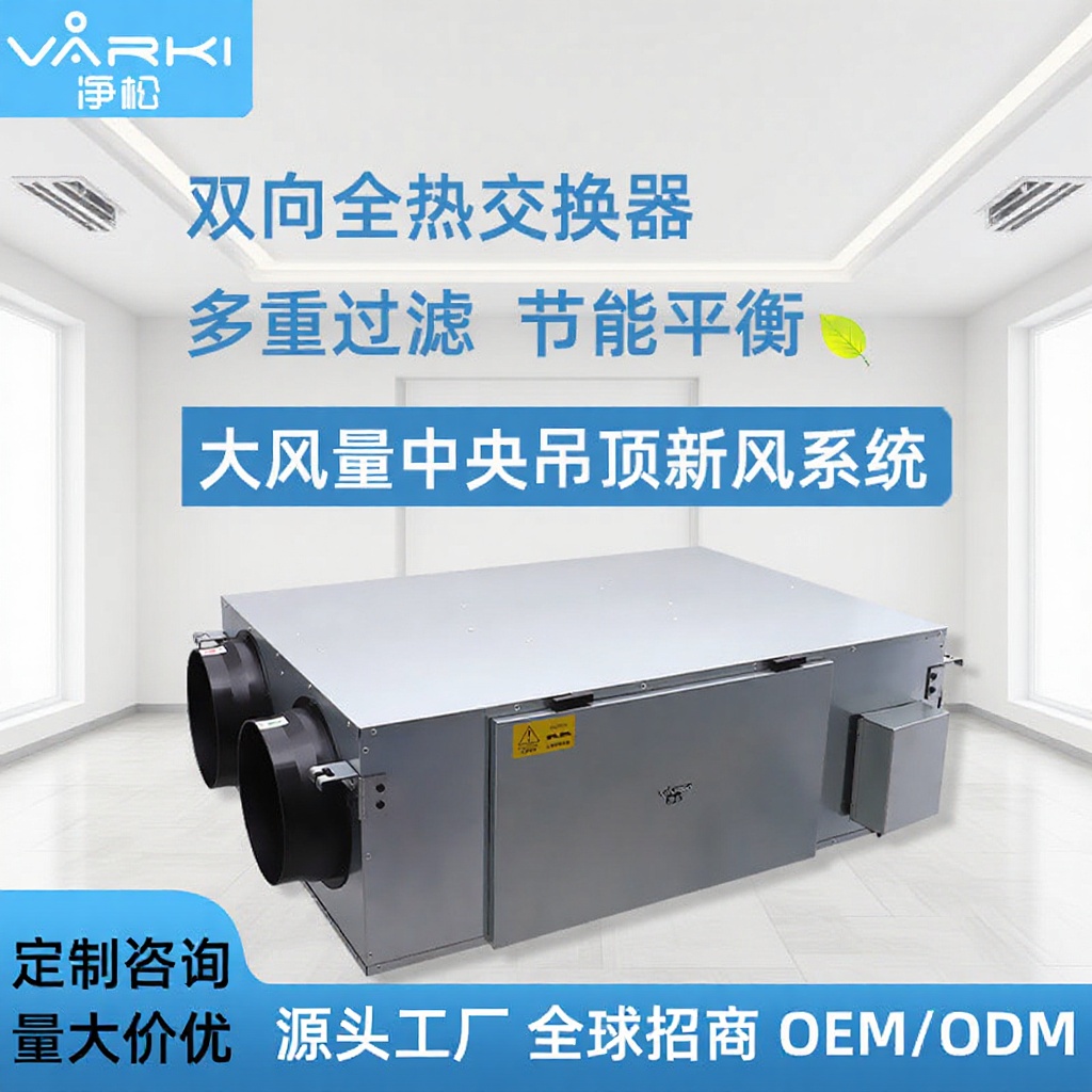 OEM machining ODM customized commercial center suspended ceiling New fan system heat exchange Fresh air Purification type indoor