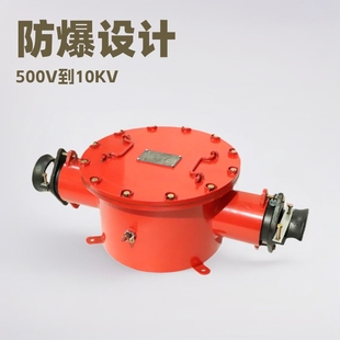 BHG1-500/10-2G Mine Flameproof High Voltage Cable Junction Box High Voltage Junction Box Explosion-proof Junction Box