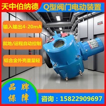 Q500 늄ӵy 늄ӈ _P   yT늄b