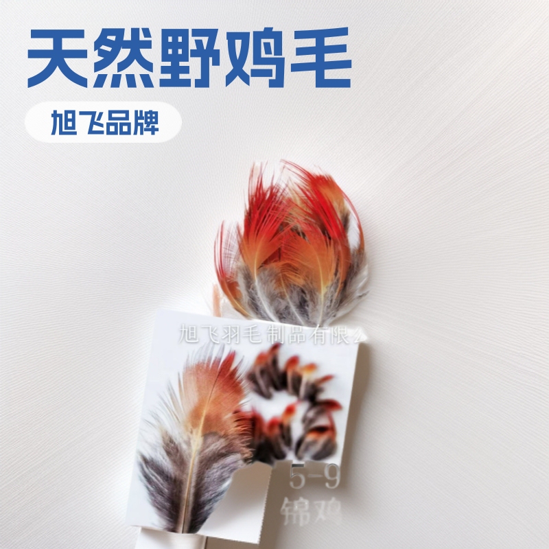 Directly from the Manufacturer: 5-9cm Pieces of Red-Feathered Pheasant Feathers, Natural Wild Chicken Feathers, Earring Accessories, Clothing Accessories, Tassels