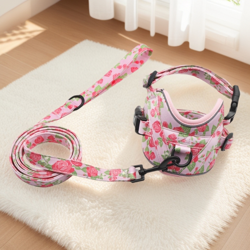 Arnés para perros, ropa para perros, correa para perros, Teddy, Bichón, paseos al aire libre para perros, venta al por mayor y minorista transfronteriza, dropshipping para perros de compañía