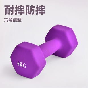 Wholesale Yoga Women's Gym Home Beginners Dip Small Dumbbells Men's Arm Muscle Fitness Equipment Dumbbells