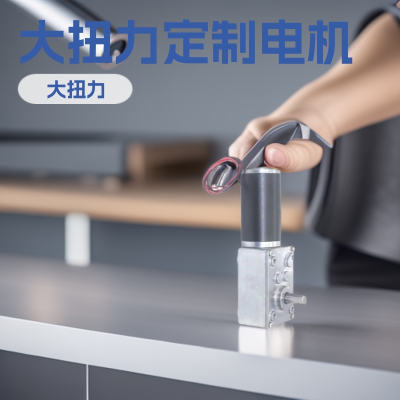 4058 Reduction Motor 12V Lift Mechanism Cat Litter Box Curtain Smart Home Worm Gear Motor 24V Smart Home