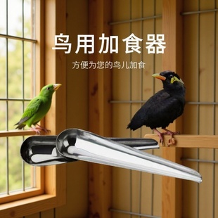 �B�ü�ʳ����ʳ�������Bʳ��ʳ��ʳ�P��ˮ��ʳ�B��þ���Ʒ�W�^