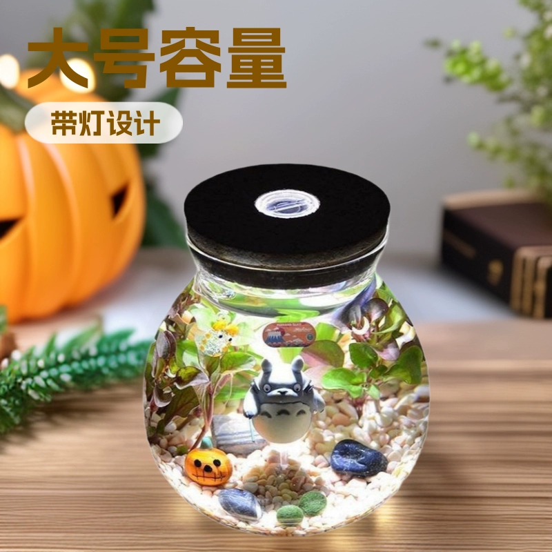 Гидропонная стеклянная емкость для выращивания цветов и растений с бутылкой, микроландшафт, экологическая бутылка для растений, аквариум, цветочный горшок