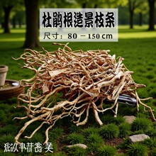 �~���쾰���N��֦�l���^�b��҃����B���ֹ��̸��L�l�쾰��ľ