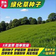 ļݷNӾG̲ѹƺNo¸é;G