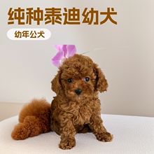 ���l���N̩�ϲ豭Ȯ��Ȯ���w����̩�Ϲ�̩����С��Ȯ����Ȯ���ﹷ