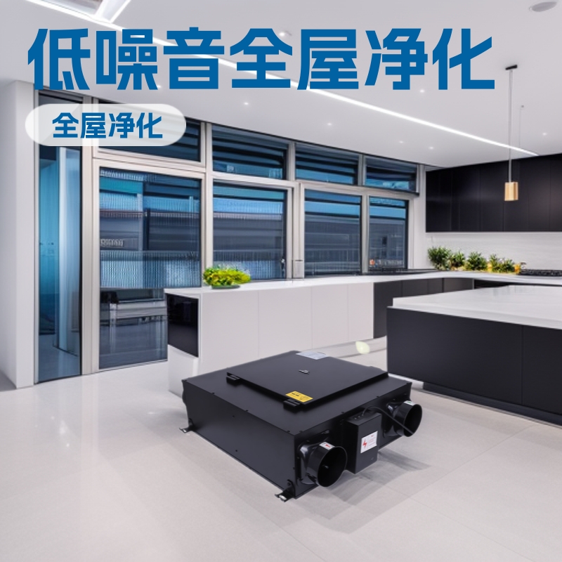 OEM machining ODM customized center suspended ceiling New fan system heat exchange pm2.5 Whole house purification