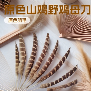 �S�����ldiy�Ʒ��ëɽ�uҰ�uĸ�����ֹ�