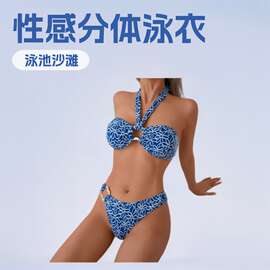外贸2025冲浪性感分体印花三角泳衣bikini 泡温泉交叉露背比基尼