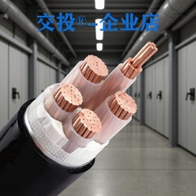 нͶό͟ouͻ|WDZBN-YJY-4*95+1*50ƽȼ