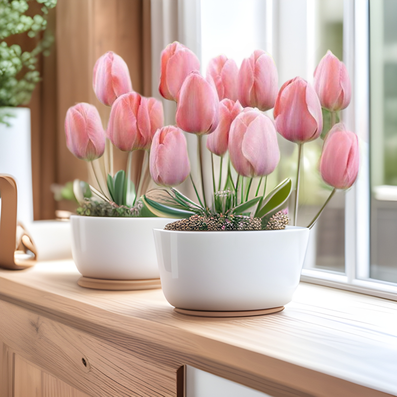 Tulip Bulbs, Hydroponic Flower Plants, Indoor Florals, Four-Season Flowering Seeds, Potted Flower Seedlings, Soil Culture, Water Culture, and Good Living