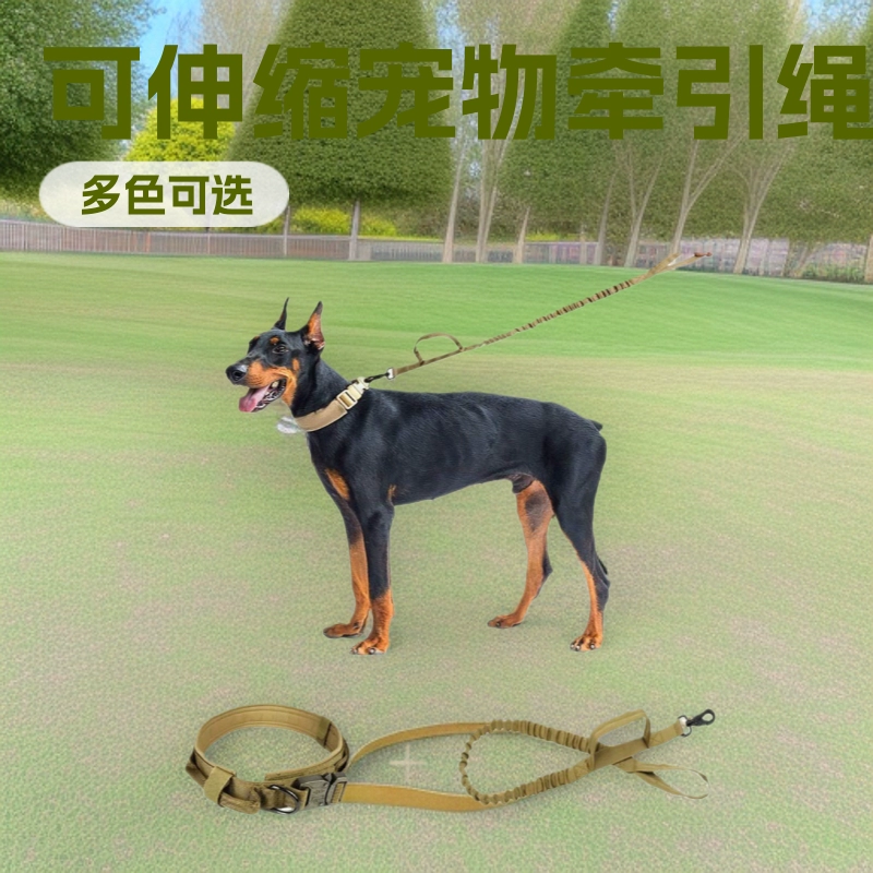 Амазонка взрывается большой собачий ошейник