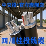 成都电缆厂电缆ZRCYJLV3/4+1+2*35507095平三相五线铝芯线阻燃