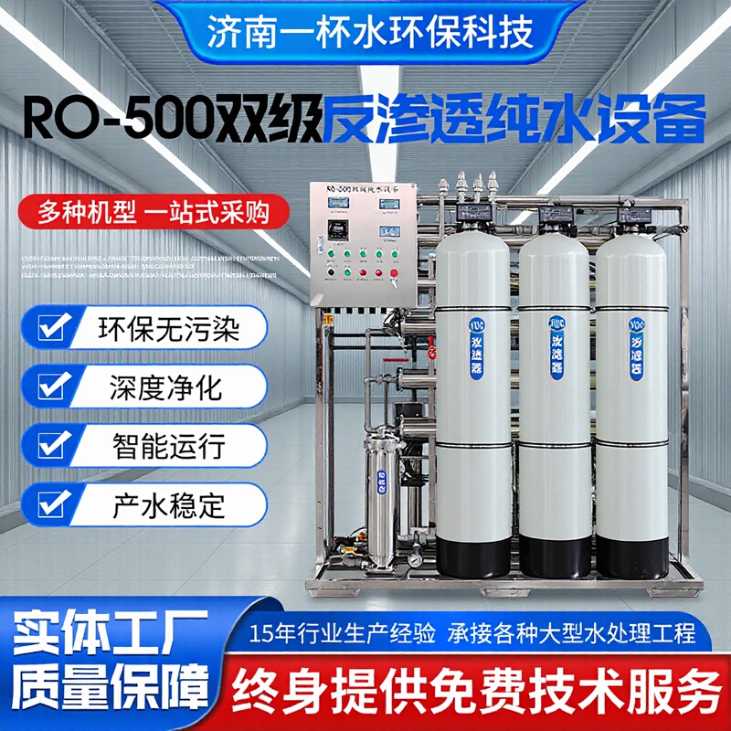Industrial Ro-500 Double-Stage Reverse Osmosis Pure Water Machine 10 Tons/Hour Seawater Desalination Equipment