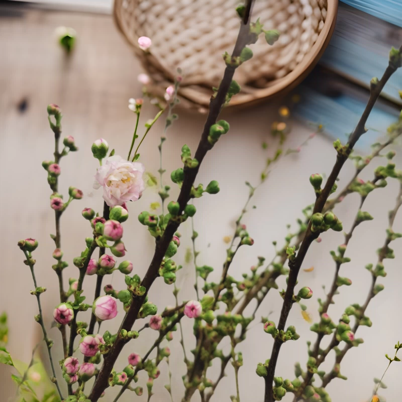 Сушеные ветки жемчужной сливы, вишни, снежной ивы, оптовая продажа сушеных веток жемчужной сливы, оптовая продажа сушеных веток драконьей ивы, новогодние цветы и зеленые растения