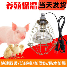 寵物取暖燈獸用動物保溫燈套裝雞苗仔豬取暖燈泡可調溫度加熱帶線