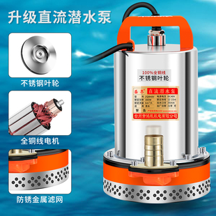 High lift DC submersible pump 12V24v battery pump 48V60V72 volt electric vehicle small irrigation agricultural