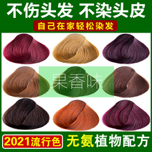 �屶�Ӽ�ֲ��Ⱦ�l��2024����ɫȾ�^�l�����؁���\���غ�ɫ�ڰװl