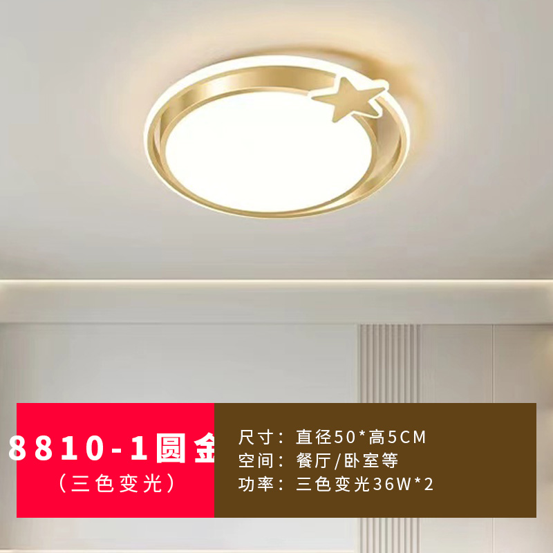 8810/1 라운드 골드 - 3색 디밍