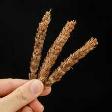 夏枯草野生500g克2024大花天然白毛夏枯球茶野夏枯草可搭配猫爪草
